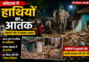 कोडरमा में जंगली हाथियों का आतंक: गोलगो गांव में आधा दर्जन घर तोड़े, रातभर दहशत में रहे ग्रामीण