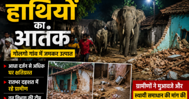 कोडरमा में जंगली हाथियों का आतंक: गोलगो गांव में आधा दर्जन घर तोड़े, रातभर दहशत में रहे ग्रामीण कोडरमा में जंगली हाथियों का आतंक: गोलगो गांव में आधा दर्जन घर तोड़े, रातभर दहशत में रहे ग्रामीण