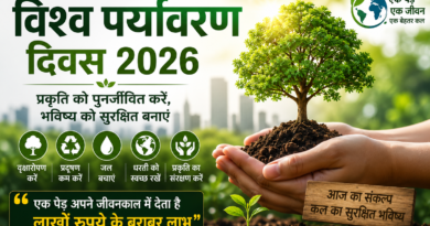 विश्व पर्यावरण दिवस 2026: डोंबिवली में भाजपा नेताओं ने किया पौधारोपण, लिया हरित विकास का संकल्प