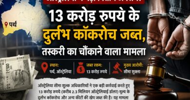 ऑस्ट्रेलिया में 13 करोड़ रुपये के दुर्लभ कॉकरोच जब्त, वन्यजीव तस्करी का चौंकाने वाला मामला आया सामने